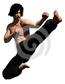 Kung fu martial artist