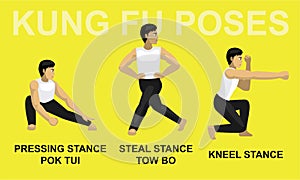 Kung Fu Poses Pressing Stance Pok Tui Steal Stance Tow Bo Kneel Cartoon Vector Illustration