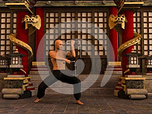 Kung Fu warrior