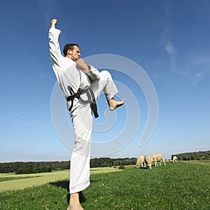 Kungfu photo