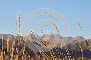 Kungoy Ala-Too or Kungey Alataw mountain view from Ysyk Kol and Tamchy village