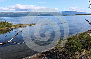 Kungsleden river in the arctic tundra. Abisko national park, Nothern Sweden