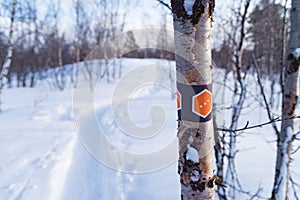 Kungsleden trail