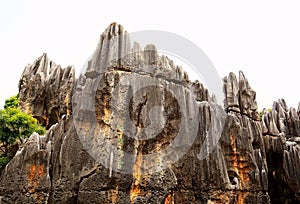 Kunming Stone Forest Scenic Area