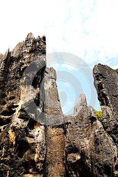 Kunming Stone Forest Scenic Area