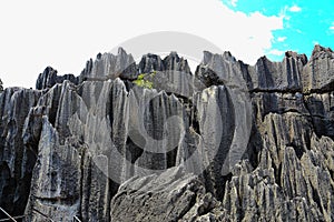 Kunming Stone Forest Scenic Area