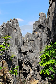 Kunming Stone Forest Scenic Area