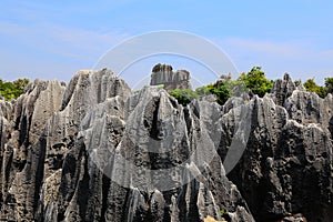 Kunming Stone Forest Scenic Area