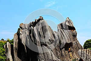 Kunming Stone Forest Scenic Area