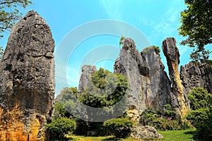 Kunming Stone Forest Scenic Area