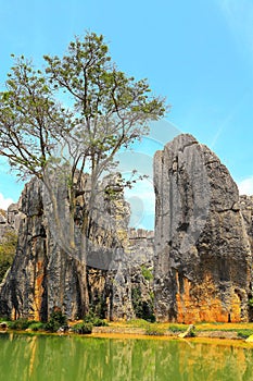 Kunming Stone Forest Scenic Area