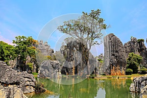 Kunming Stone Forest Scenic Area