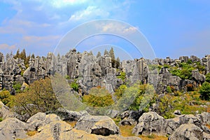 Kunming Stone Forest Scenic Area