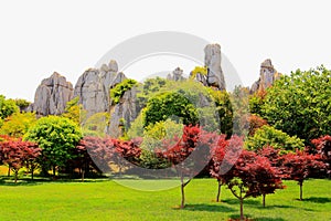 Kunming Stone Forest Scenic Area