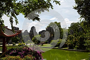 Kunming Stone Forest world Geological park, Yunnan, China