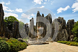 Kunming Stone Forest world Geological park, Yunnan, China