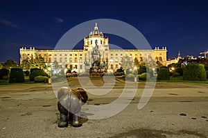 The Kunsthistorisches Museum, Vienna