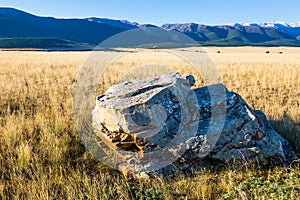 Kurai steppe in the Altai Mountains