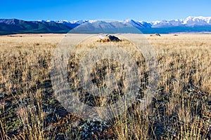 Kurai steppe in the Altai Mountains