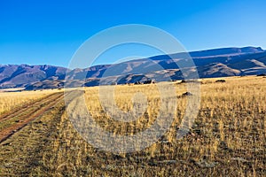 Kurai steppe in the Altai Mountains