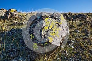 Kurai steppe in the Altai Mountains