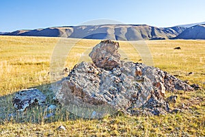 Kurai steppe in the Altai Mountains