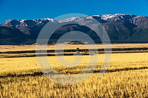 Kurai steppe in the Altai Mountains