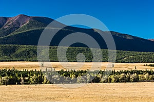 Kurai steppe in the Altai Mountains