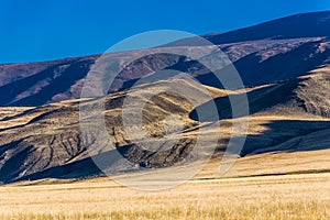 Kurai steppe in the Altai Mountains