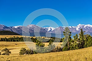 Kurai steppe in the Altai Mountains