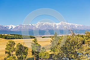 Kurai steppe in the Altai Mountains