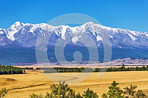 Kurai steppe in the Altai Mountains