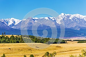 Kurai steppe in the Altai Mountains