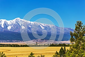 Kurai steppe in the Altai Mountains