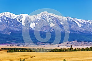 Kurai steppe in the Altai Mountains