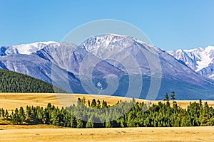 Kurai steppe in the Altai Mountains