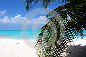 Kuramathi at 2 km (1 mi) long