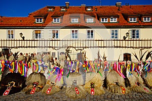 Kurenti And The Old Vine, Maribor, Slovenia