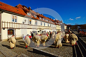 Kurenti And The Old Vine, Maribor, Slovenia