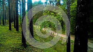 The Kurgalsky nature reserve, Russia