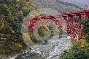 Kurobe kyoukoku train travel on the shin yamabiko bridge s popular with tourists during the Autumn Season.