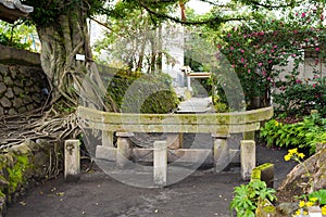 Kurojin buried torii