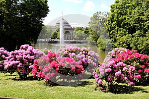Kurpark in Wiesbaden