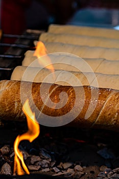 Kurtos Kolacs & x28;KÃ¼rtÅ‘skalÃ¡cs& x29;. Traditional Hungarian cake, baked with sugar, honey and nuts