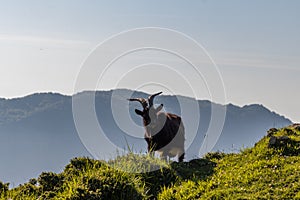 Kurutzeta mountain and surrounding area in Urkiola natural park in the Basque Country Spain