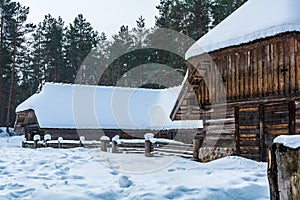 Kurzeme Peasant`s horseshoe-shaped cattle yard under snow photo