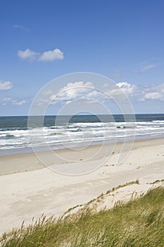 Kust op Texel, Coast on Texel photo