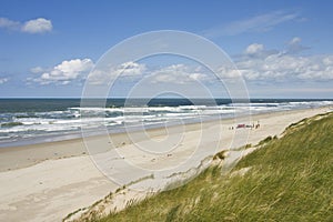 Kust op Texel, Coast on Texel photo