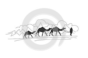 Kuwait desert camel drawing vector illustration