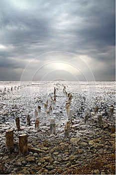 Kuyalnik Estuary (Odessa, Ukraine)